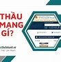 Đấu Thầu Qua Mạng 2024