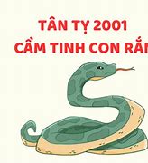 Tân Tỵ 2001 Tam Tai Năm Nào