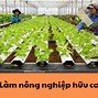 Tiêu Chuẩn Sức Khoẻ Đi Làm Công Ty Nhật Mới Nhất Hiện Nay Là Ai